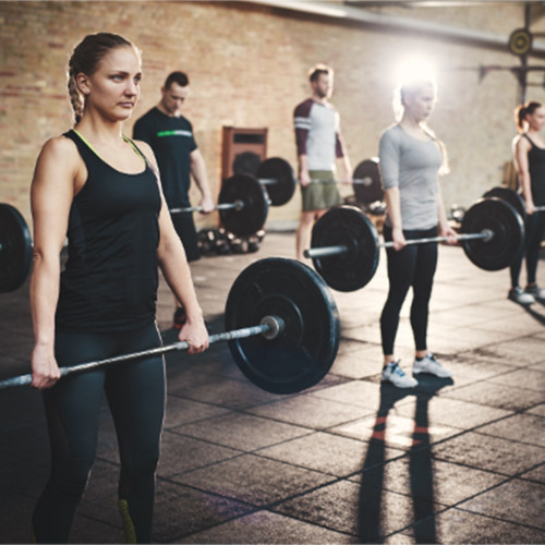 Haltérophilie en préparation physique | Trans-Faire